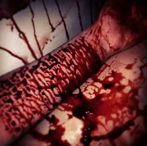 ~ i hate myself ~ i'm depressed ~ i cut ~ i tried to kill myself ~ hate my live ~ forever alone ~ i'm fat and ugly ~