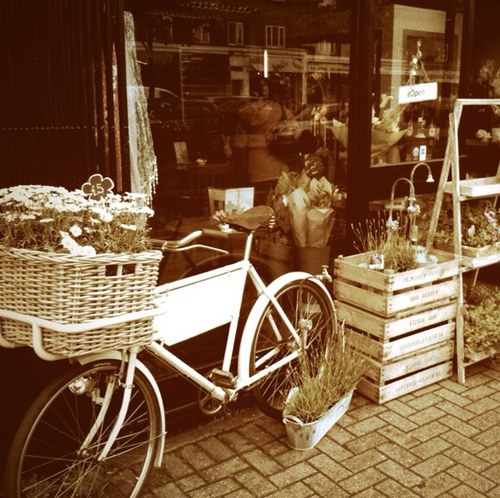 fandhflowers's profile picture. We create beautiful bouquets for all reasons & sensational event or wedding flowers