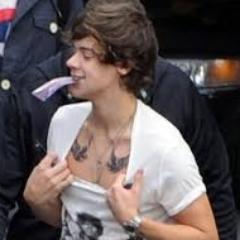 If I was rich I'd follow One Direction around the world