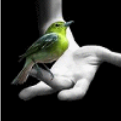 Mihail1127's profile picture. Легче забыть десять поцелуев , чем один .