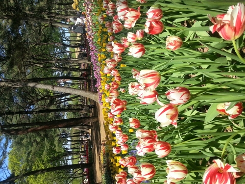 fmone2's profile picture. 