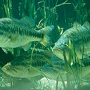 Darrell Lambert - @LambertDarrell - Twitter