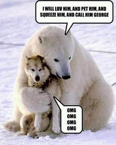 Zimbash's profile picture. here to see pictures and videos. have a great day. Not here to buy anything.