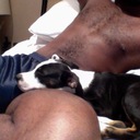 Sylvester Anthony III - @SylvstrAnthny - Twitter