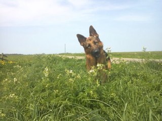 Voormalig salesmanager, motorrijden, bootje varen, zon,zee, strand, hapje, drankje