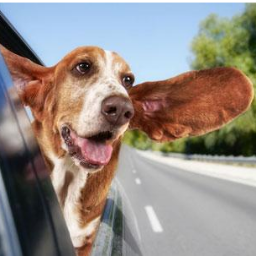 Find Insurance Discounts on your car insurance today! Get quotes at http://t.co/i0OGBUQOBp
Get a easy & free quote: http://t.co/i0OGBUQOBp