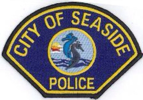 Just a regular rent-a-cop in Seaside, FL that loves the law and fucking up you bastard's nights.