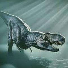 Fossilshopeu's profile picture. Fossils, minerals, webshop, mammoth, trex
