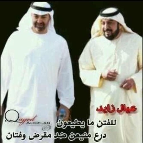 ولائي لدولتنا وشيوخنا