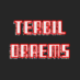 ＴＥＲＢＩＬ   ＤＲＡＥＭＳ (@terbildraems) Twitter profile photo