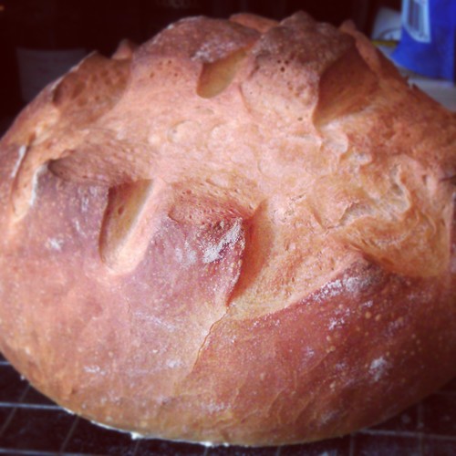 foodie who is excited about all things food love to cook bake and perseve follow my avdventure through food.