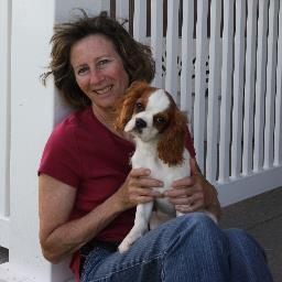 Dog Breeder