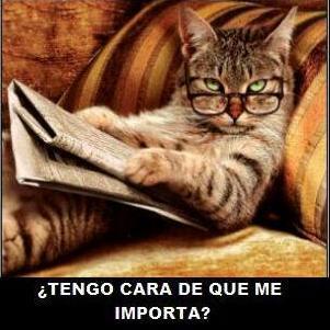 Profesional,madre,amiga, feliz y orgullosa de mis hijos.!Esperando algo bueno para mi pais..es un clamor de todos.Fiel devota de San Miguel Arcangel