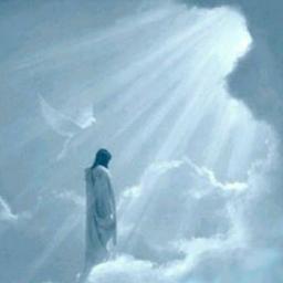Go here » http://t.co/gulVbxpvB2