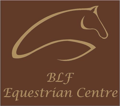 BurrowsF's profile picture. Friendly yet professional horse riding school offering a range of horse riding lessons and activites to the local community.