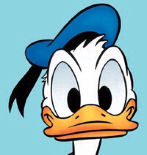 luca_alici's profile picture. Fidarsi, alfa e omega dell'umano! È ora di darne testimonianza attraverso volti, luoghi, storie!