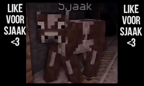 denzelsteijn's profile picture. 