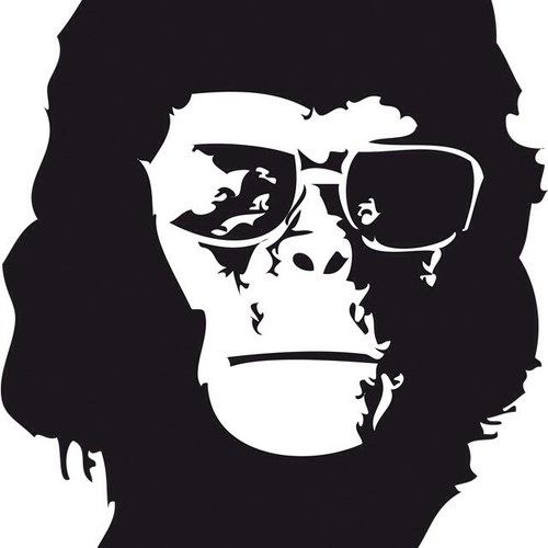 stompboards's profile picture. Pedaleras artesanales hechas a medida. Custom hand-made pedalboards