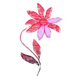Welcome to Zimbabwe's first online florist, delivering a variety of flowers, with personalised messages and gifts, offering sameday delivery service to Zimbabwe