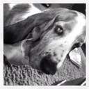 Sadie cooper - @coopsedz - Twitter