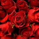 Saundra Rose - @RoseRecoveries - Twitter
