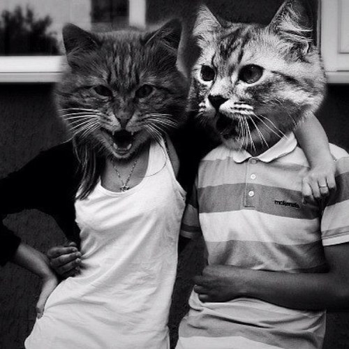 http://t.co/pXOxTXDHzg Даша, люблю новые знакомства :3