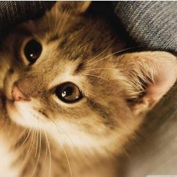 seenajoy's profile picture. #Travel