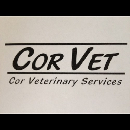 Equine Veterinary practice in Alberta, Canada. With a special focus on equine sports medicine and lameness diagnosis and treatment