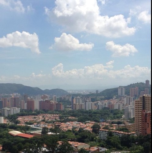 elianorita's profile picture. 