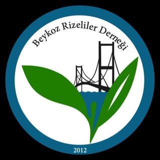 BeykozRizeliler's profile picture. 