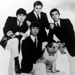 British Invasion era band from Washington, DC. Original members included lead vocalist Bobby (aka Bobbie) Howard and legendary lead guitarist Roy Buchanan.