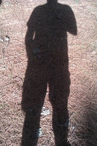 canarioYD's profile picture. 