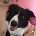 Jennifer Philbin - @J_Philbin - Twitter