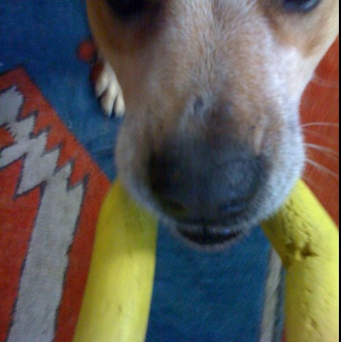 satemc's profile picture. 