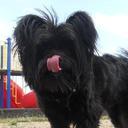 Stacy Parks - @stacyparks77 - Twitter