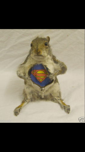 astay14's profile picture. A massively awesome and jolly nice chap! but who am I... Can't say! sshh!!