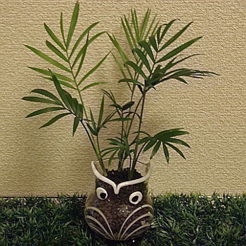 Joosskate's profile picture. トリノ五輪シーズンからスケートを観始めました。
本アカは@JoossKeh