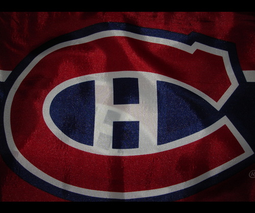 Freelance EN into FR Translator.             
#Hockey #Habs #Goalie #17
#Music #Rock/Punk-Rock/Pop-Punk/Alternative #Guitar Player-Singer #World Traveler