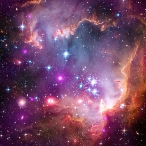 Fleskeberg1's profile picture. 