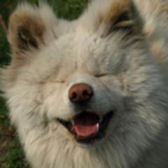 書店にいる人。わさお。