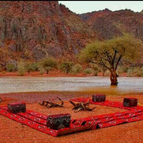 عبدالرحمن آل فهاد  Profile