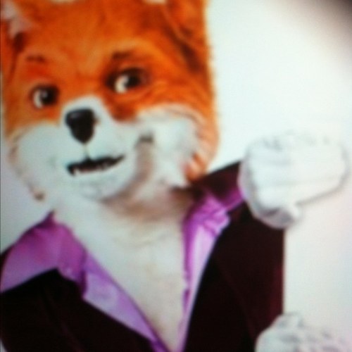 sfox147's profile picture. 