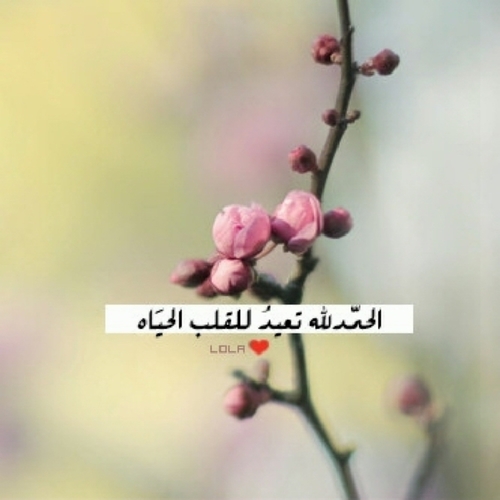 اللهم أعز الإسلام و المسلمين