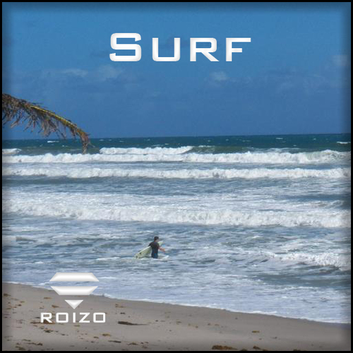 GET THE NEW ROIZO GRIP Rashguard today!UPV protection+fabricX+performace fit AND grippy for better maneuverability - Surf like the pros- Be your Best with Roizo
