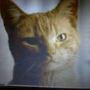 Kieron Jackson - @kieron_j_uk - Twitter