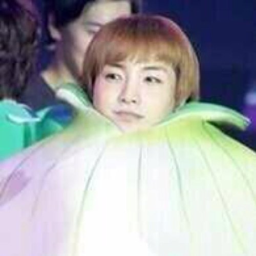 SuperJunior とぅくみんペン EXO ちぇん かい君 ふぉろみー\( ˆoˆ )/ 94line