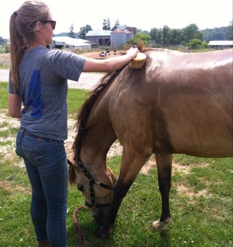 samanthalajagt's profile picture. i hate the Tarzan swing