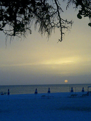 kogan696's profile picture. 