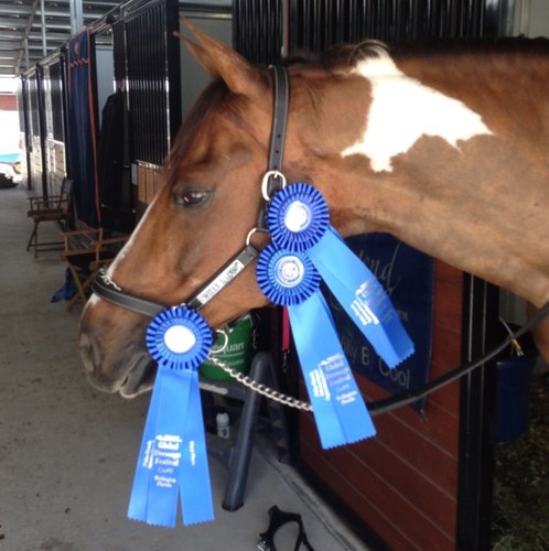 realslimkaty5's profile picture. 