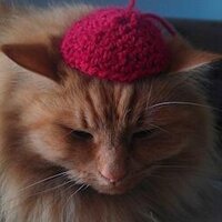 Pauline Mak (@paulinemak) 's Twitter Profile